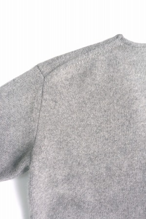 Hand Framed Blue Fox C/D