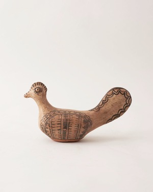 鳥  / Morocco