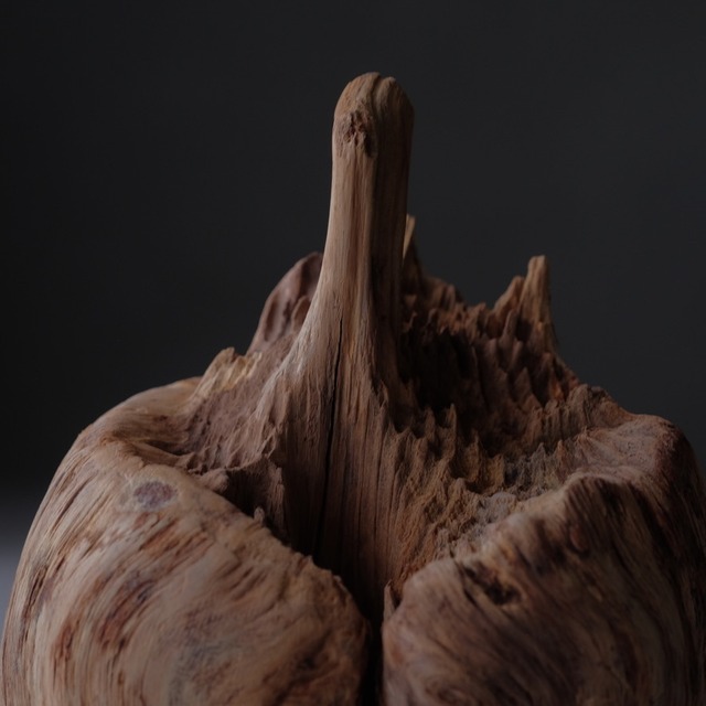 Tree burl