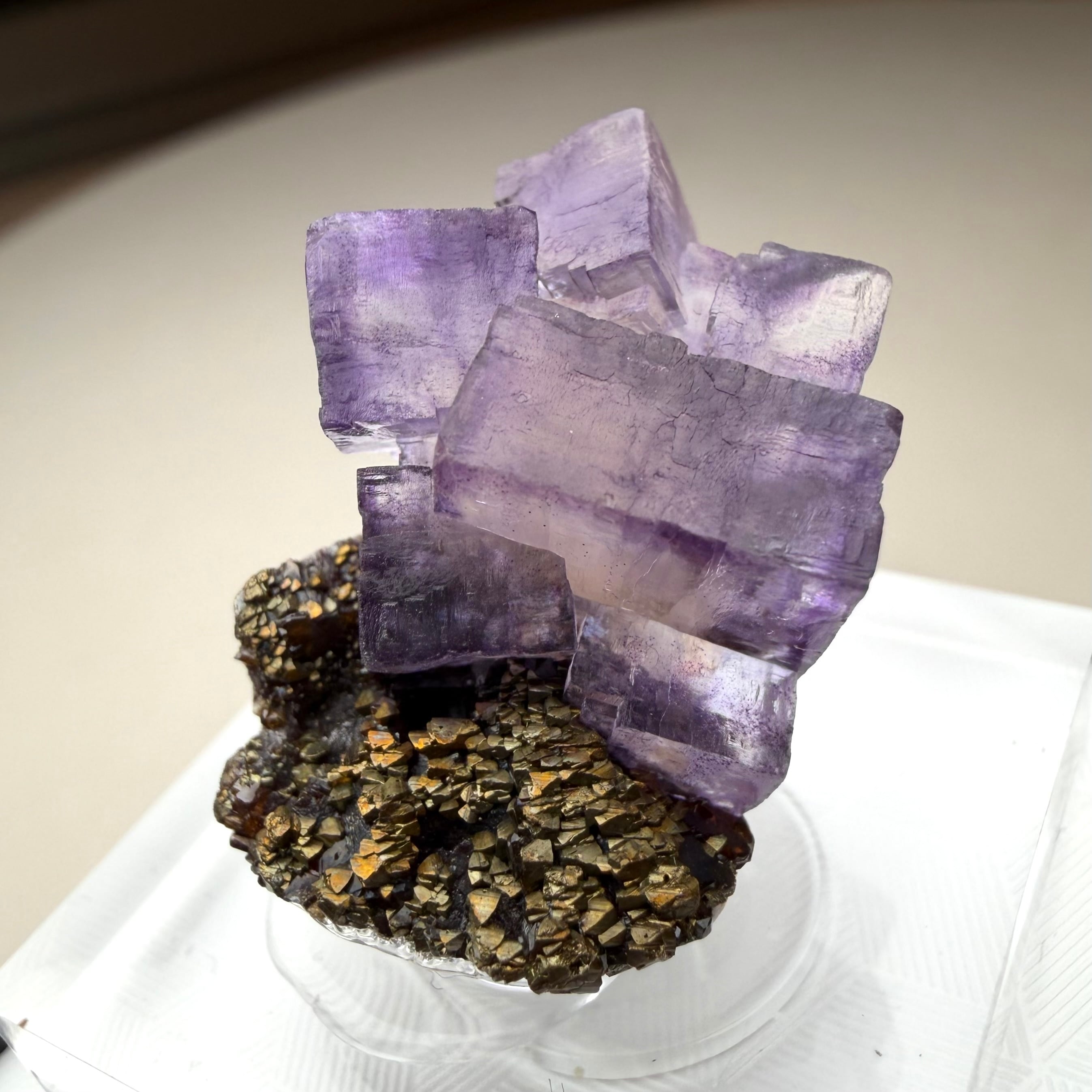 フローライト / キャルコパイライト / スファレライト【Fluorite with Chalcopyrite on Sphalerite】アメリカ産