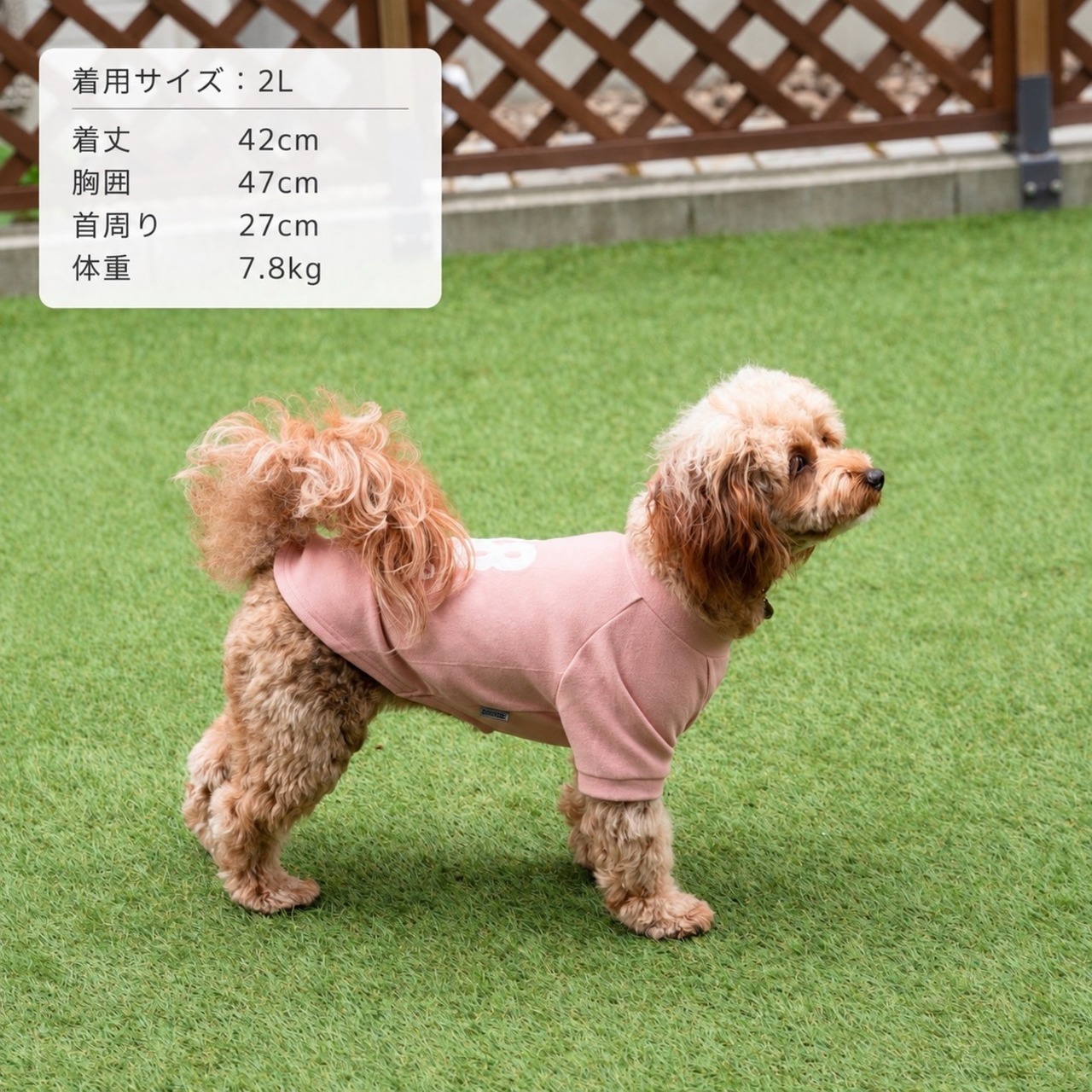 38DOG LOGO EMBROIDERY TEE / PINK