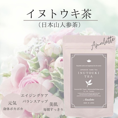 Amulette イヌトウキ茶 日本山人参 ハーブ デトックス アンチエイジング ダイエットトリプトファン  1g×10包