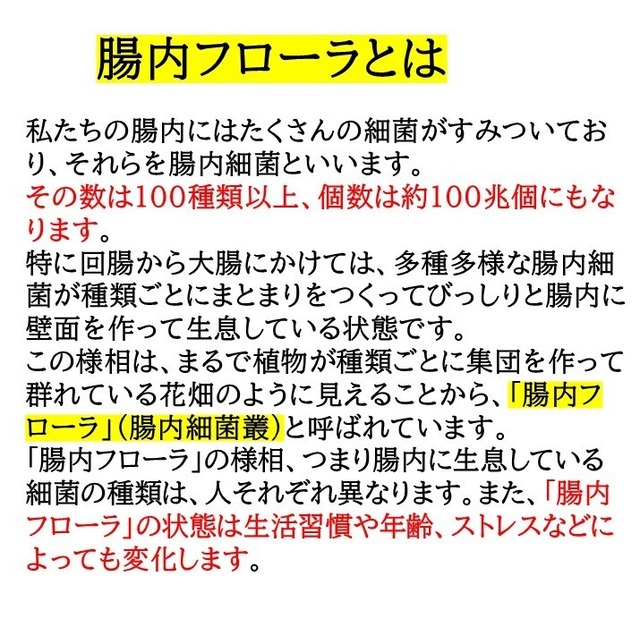 ヴィヴェール　複合活性麹