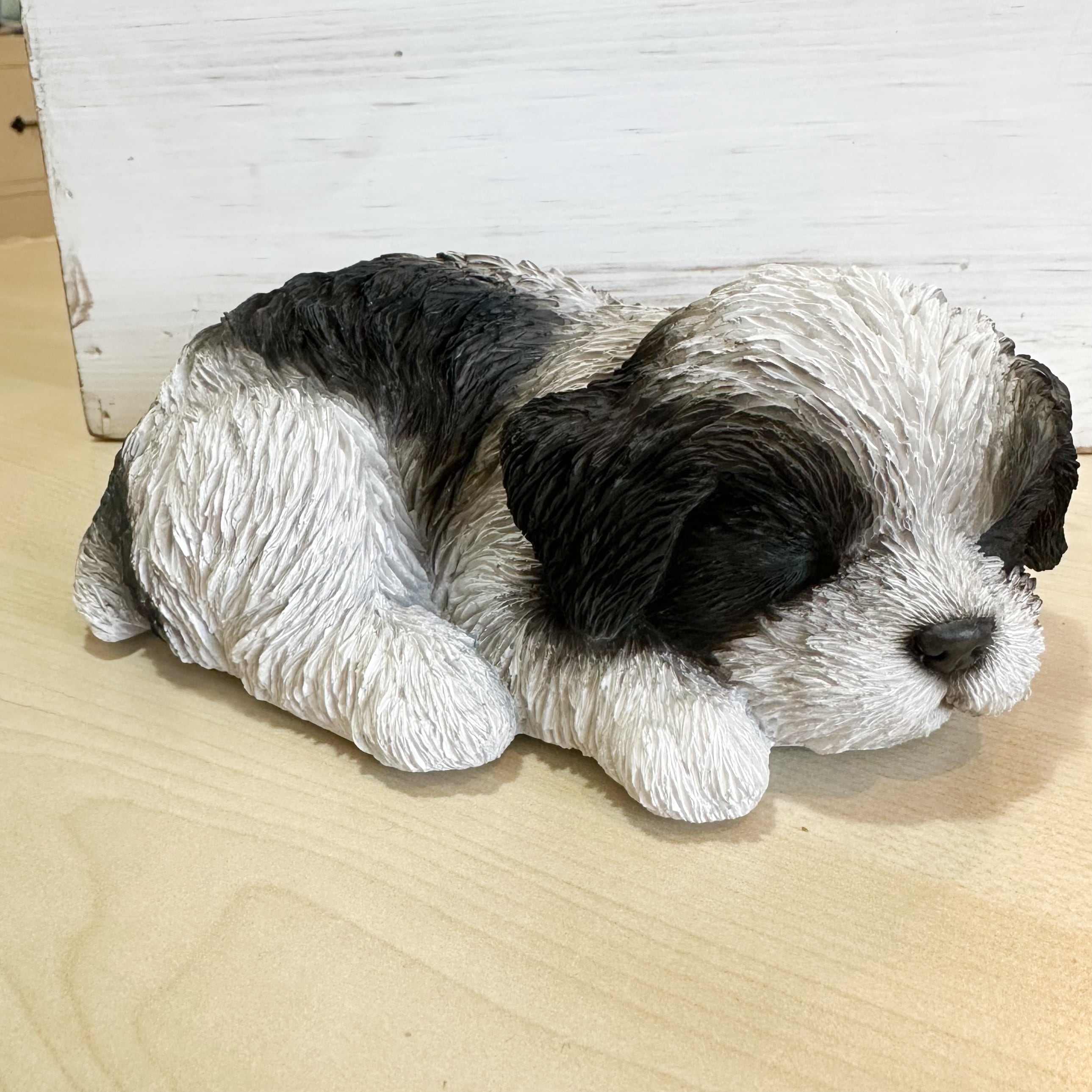 すやすやシーズー