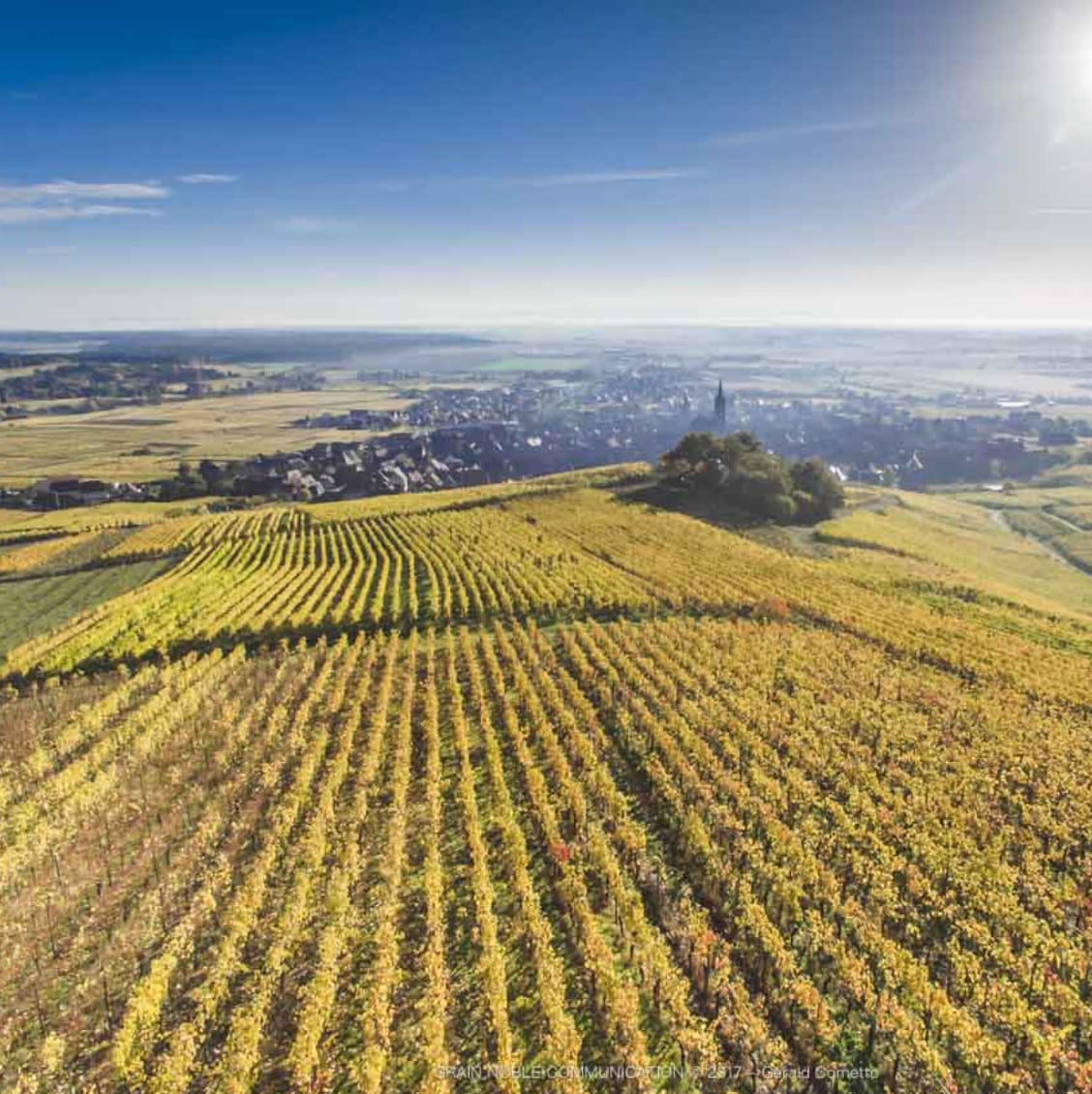 【シャルル・フレイ】マセラシオン 2022