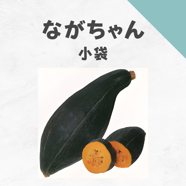 ながちゃん　カボチャ種子・小袋