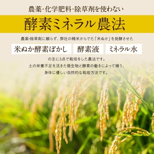 無農薬栽培米10kg　『つちのおと』玄米初霜【送料無料】岐阜県産 【玄米】【令和7年産】　朝食玄米　グルテンフリー　おにぎり