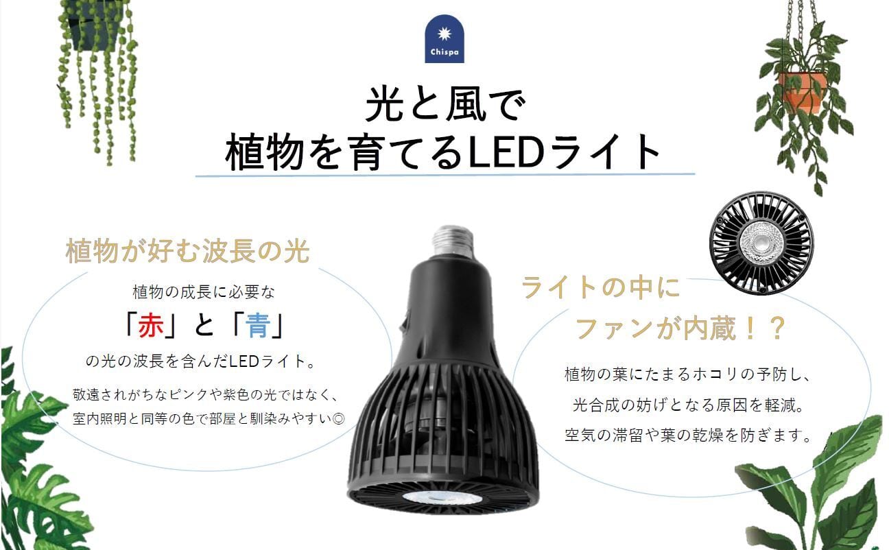 CHISPA 光と風で植物を育てるLEDライト ブラック ファン付き | CHISPA