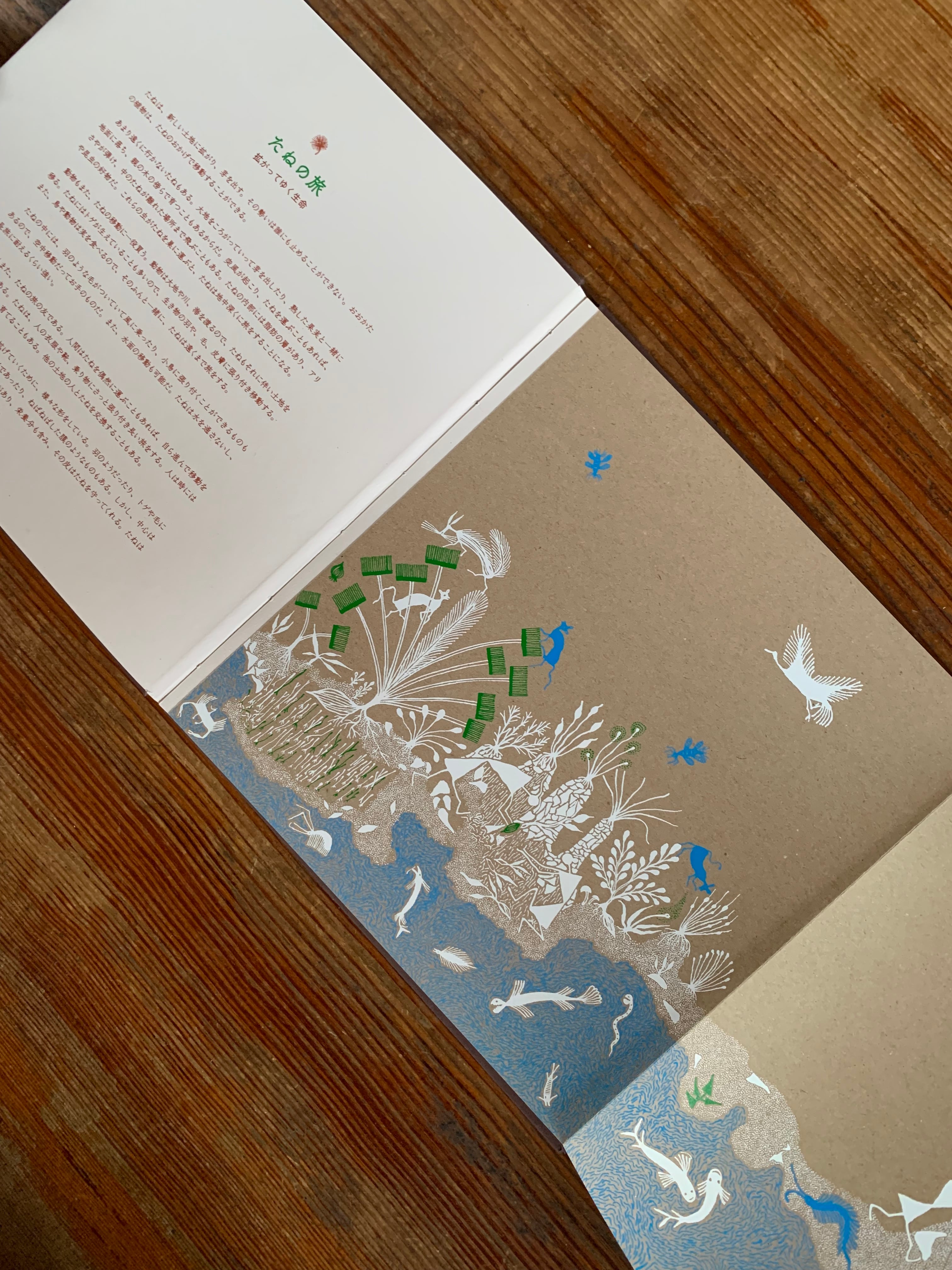 たね』 | STANDARD BOOKSTORE