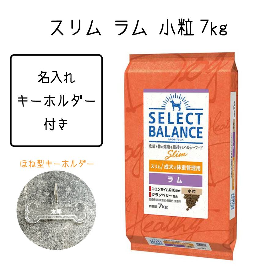 ドッグフード セレクトバランス スリム ラム 小粒 成犬用 体重管理用 ...