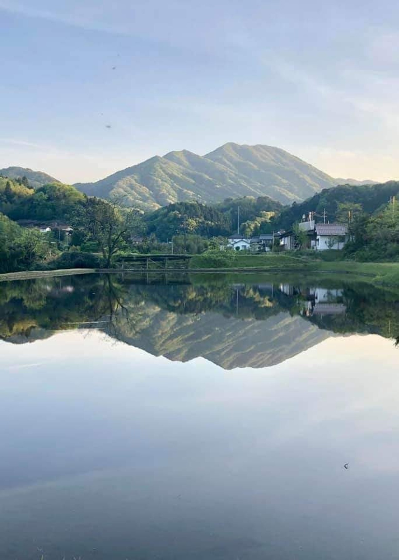 井上醤油店 井上 古式じょうゆ 720ml