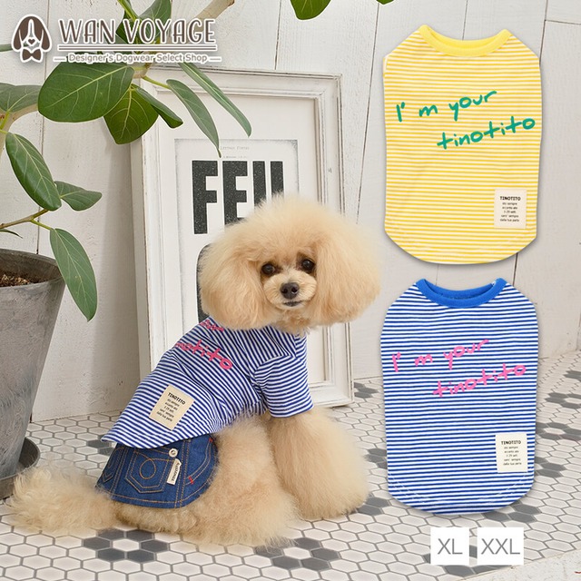 TTボーダーTシャツ XL/XXL TINOTITO-ティノティート- 犬服 ドッグウェア トイプードル チワワ ポメラニアン TT21SS tt151207-3