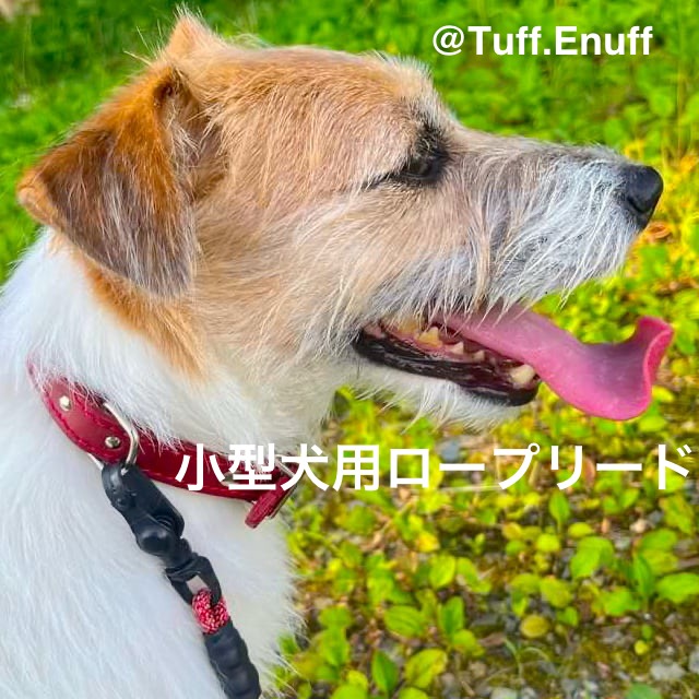 tuff Enuff 小型犬用ロープリード  XS & S サイズ  1.2m
