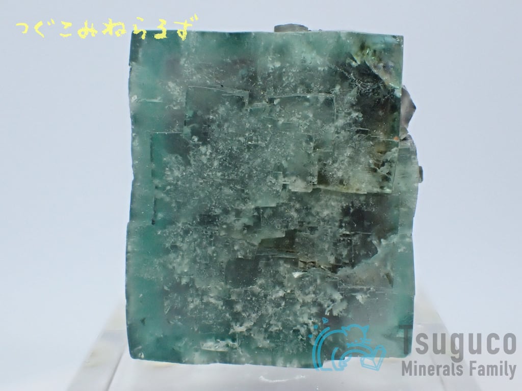 フローライト 蛍石 Fluorite イギリス TM-0047