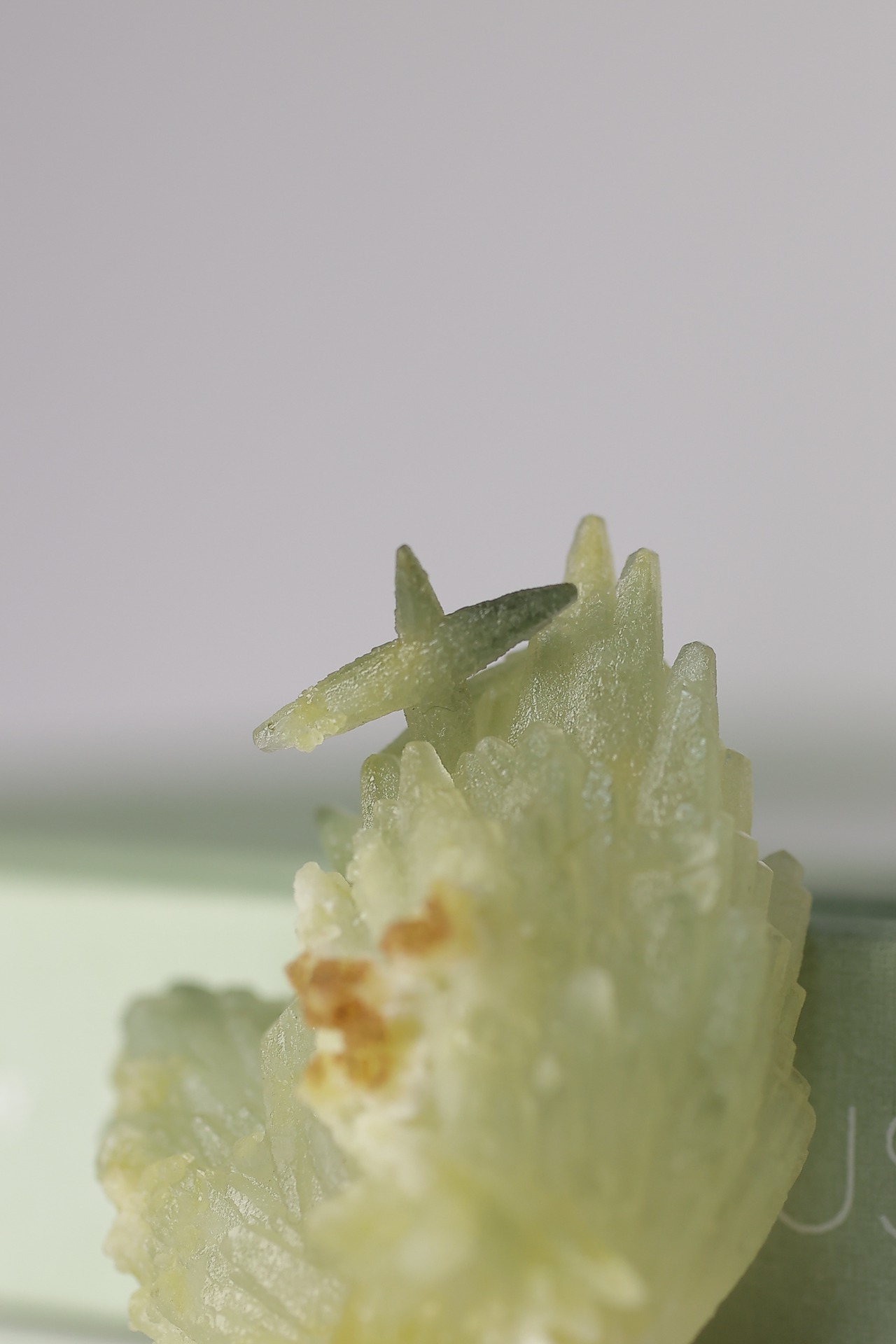 ドッグトゥースカルサイト 「約束の場所」 | Dogtooth Calcite ◇ 天然石・鉱物・パワーストーン・原石 | st00213