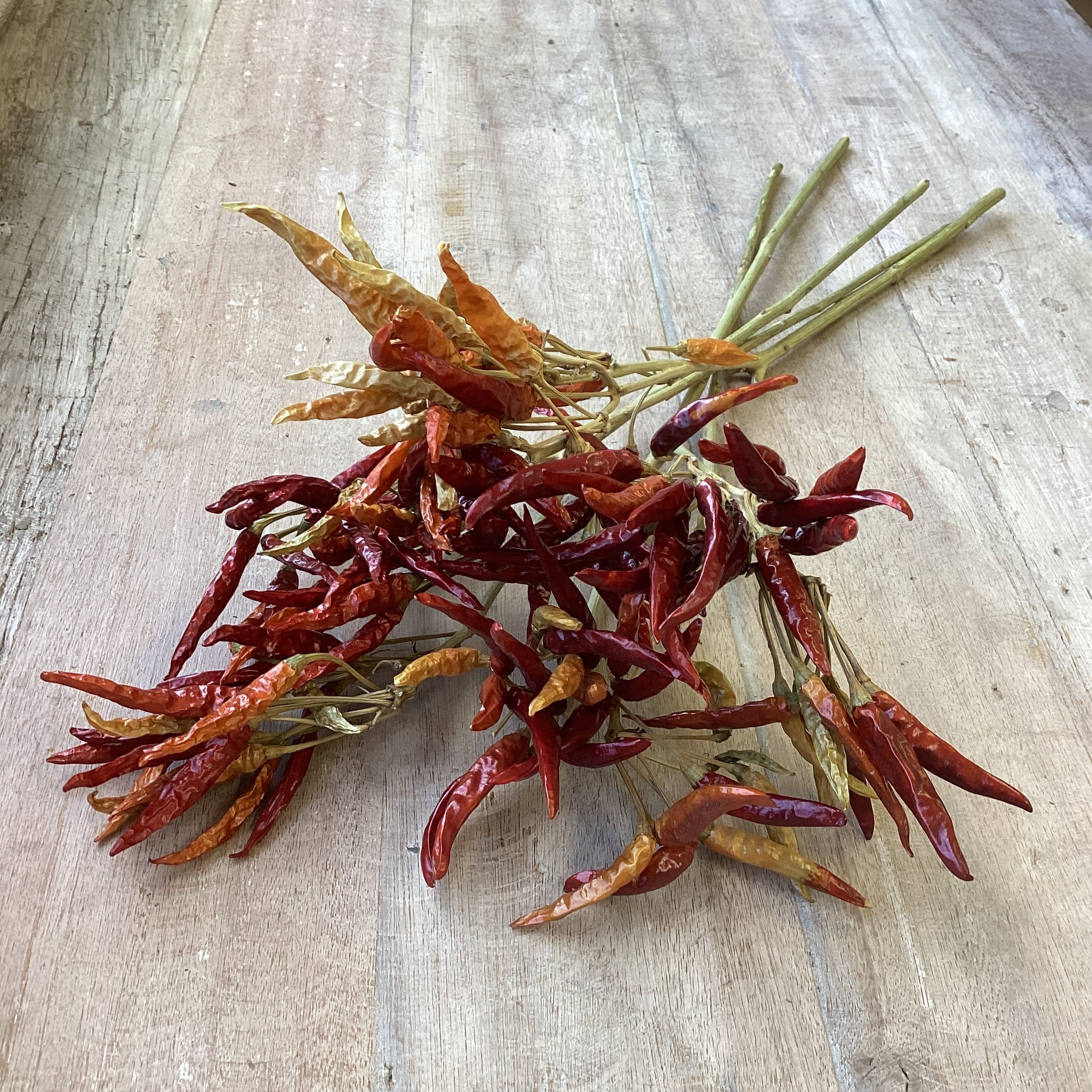 トウガラシ 5本 ドライフラワー | 新鮮お花問屋 Jp-Farmers.com