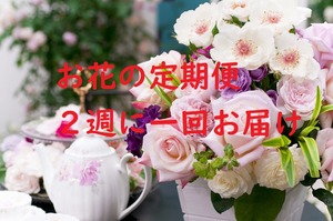 お花の定期便（隔週）1000円