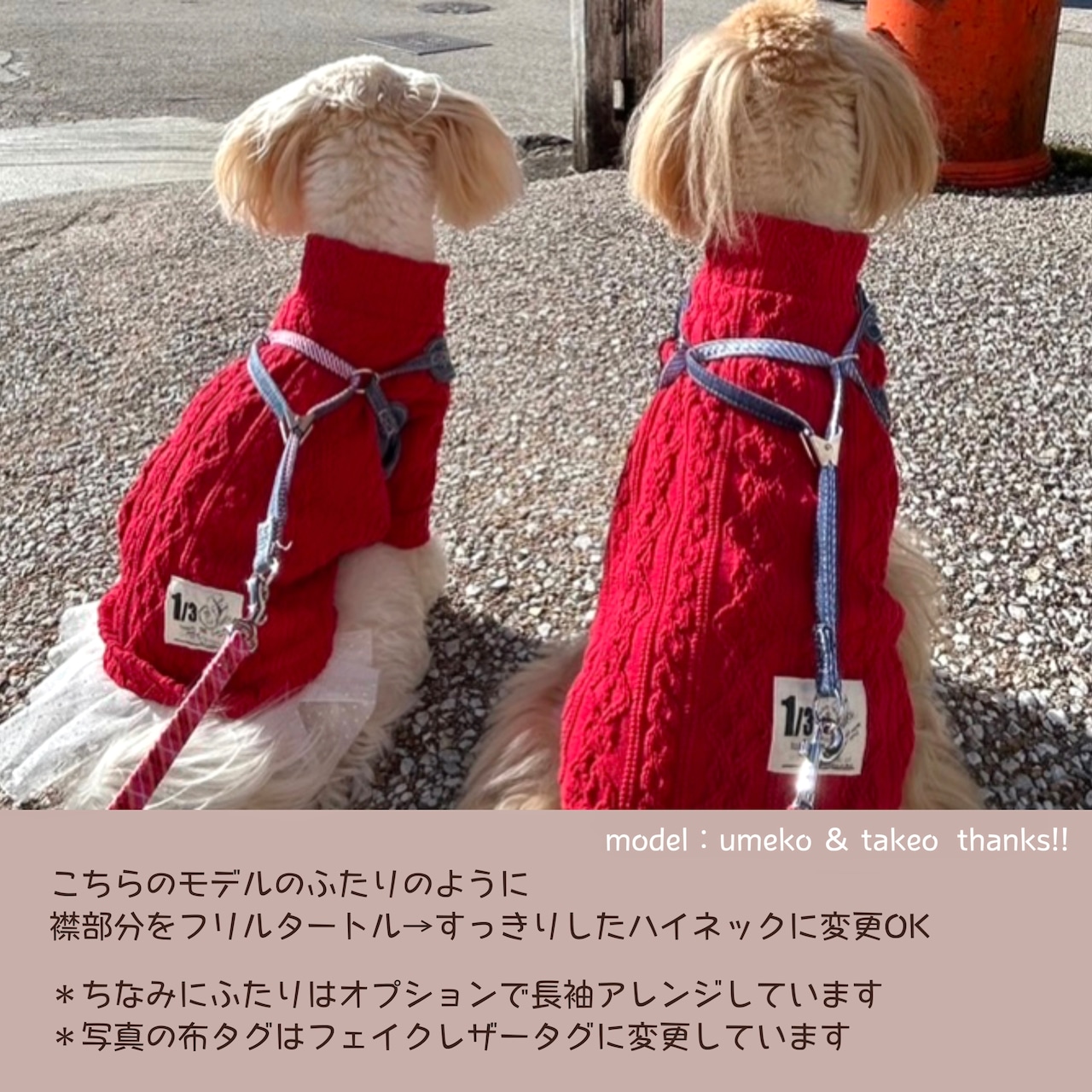 まっかなニット♡