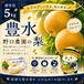 ⬛︎贈答用 豊水5kg