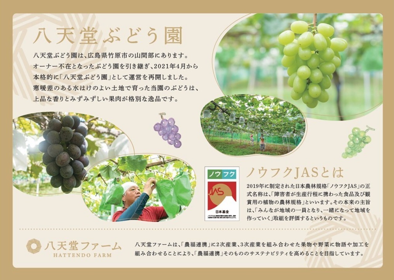 【お試しセット】八天堂ファーム 果実なくりーむパン&バターサンドウィッチ(CB35)・画像8