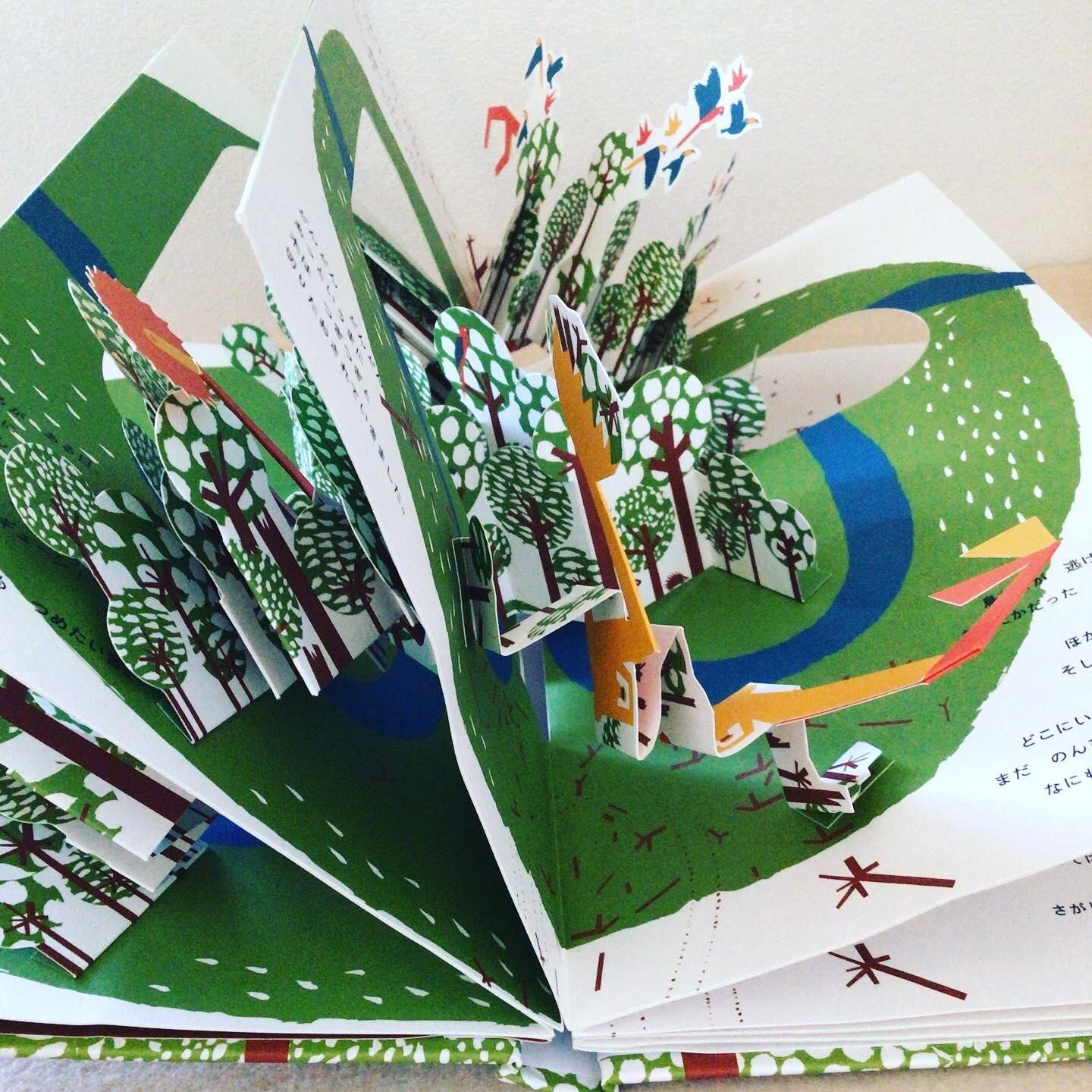 ナマケモノのいる森で しかけ アヌック・ボワロベールとルイ・リゴー