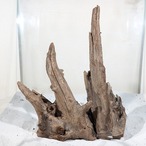 ブラックホーンウッド【BHW189】 流木 アクアリウム 水槽 熱帯魚 インテリア