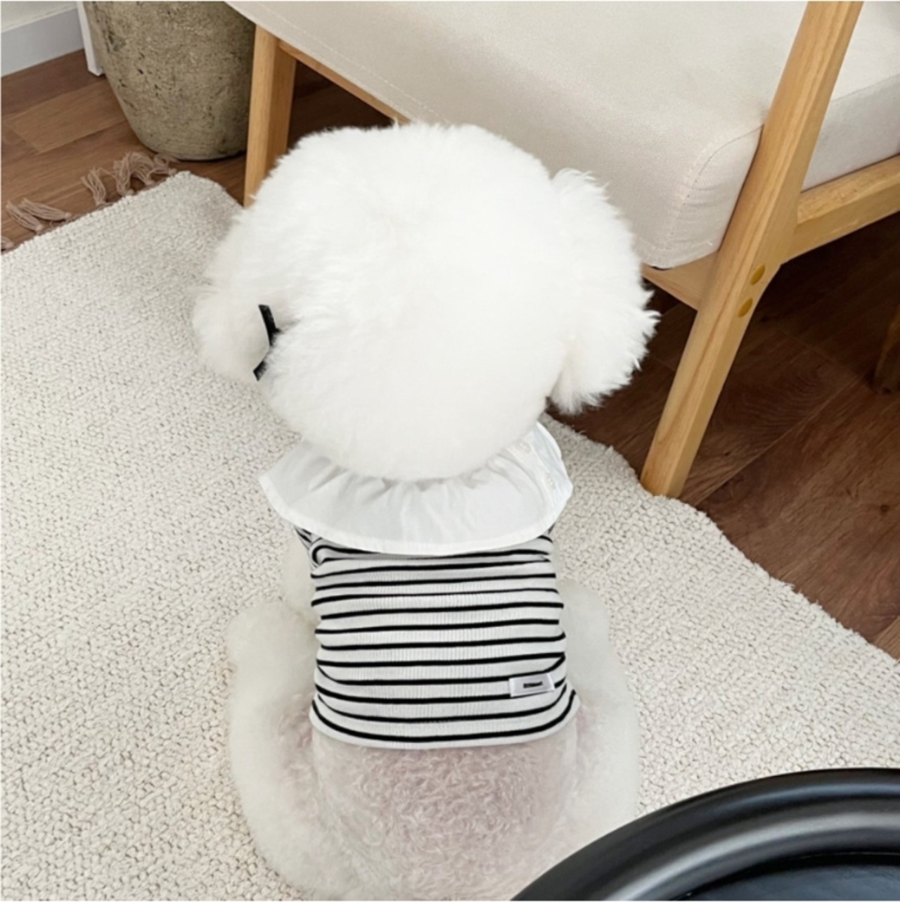 予約【pecoramou select】April Button Dangara / T-shirt Type