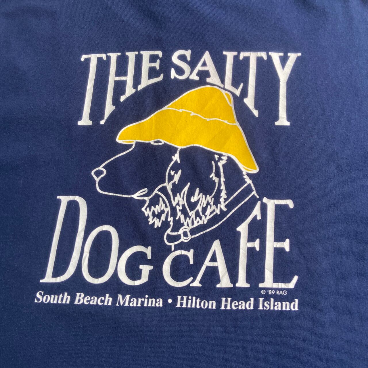 THE SALTY DOG CAFE 企業ロゴ バックプリントTシャツ メンズL相当 古着