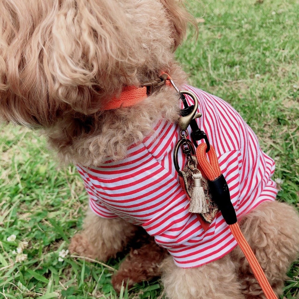 リード・ハーネス・首輪 3点セット(KA-006) | karluv.