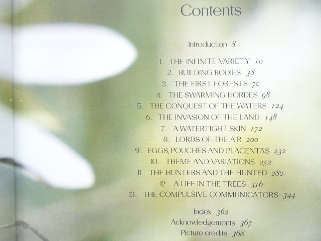 洋書◇地球上の生命写真集 本 BBC | 洋書堂