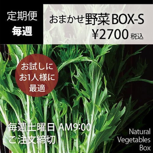 【毎週】おまかせ野菜BOX - Sサイズ