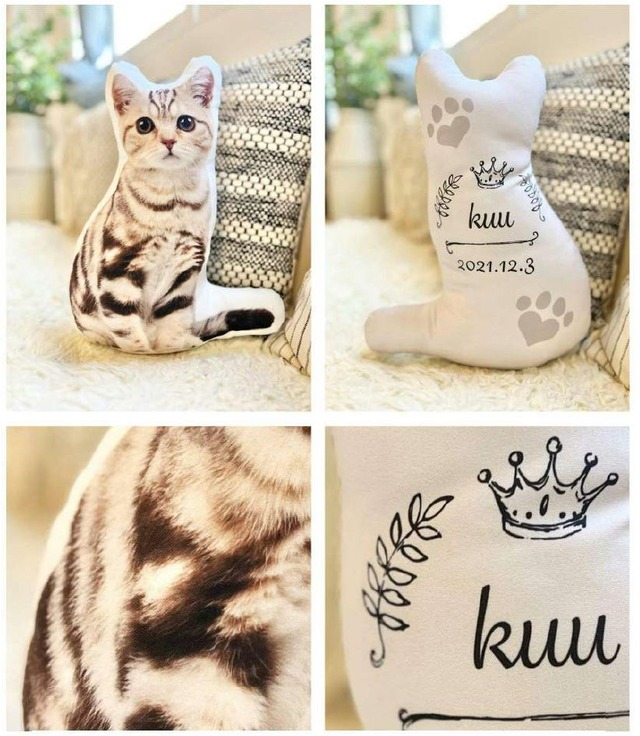 うちの子クッション【トロマット生地】3L サイズ