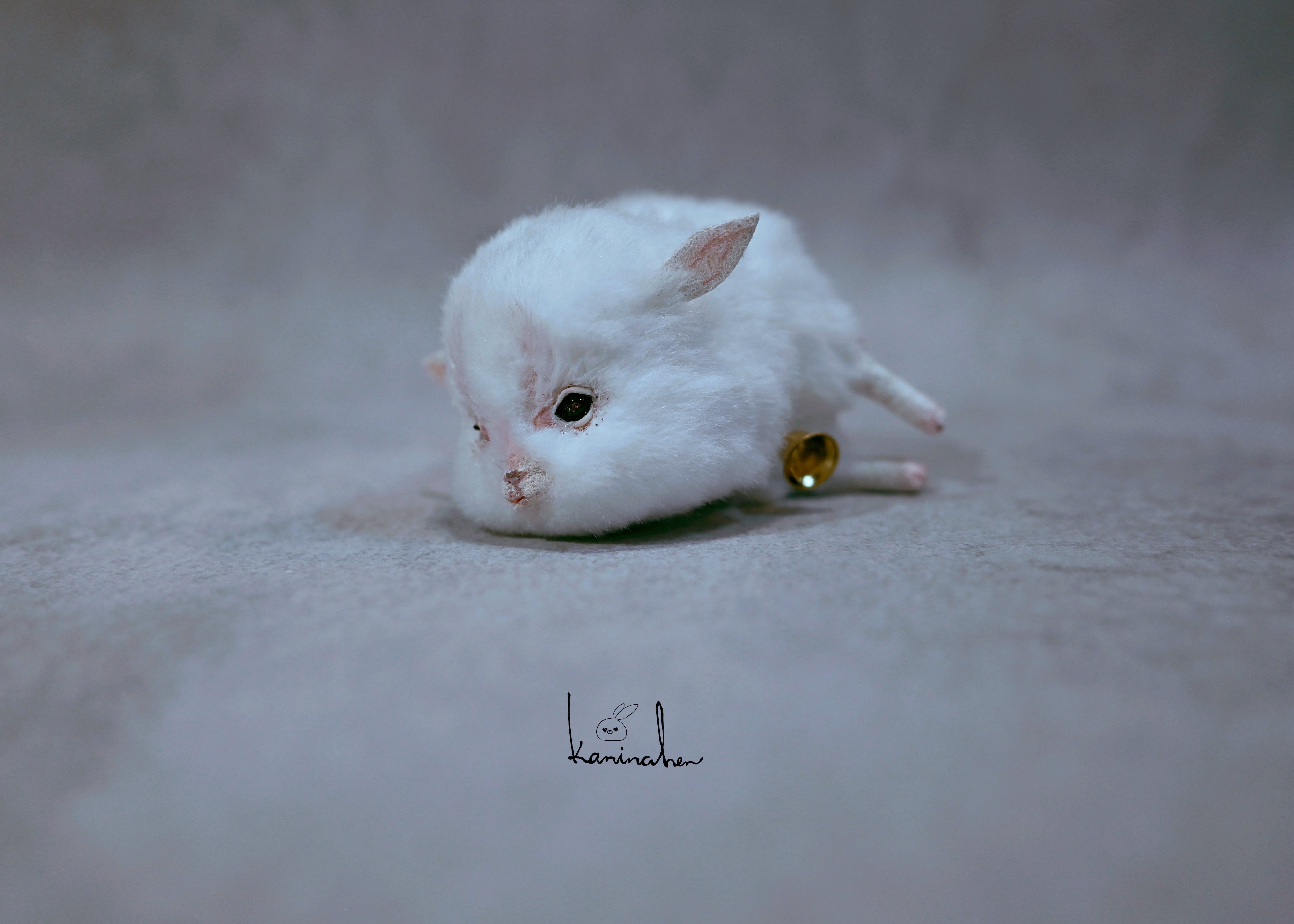 Kaninchen(カニンチェン)