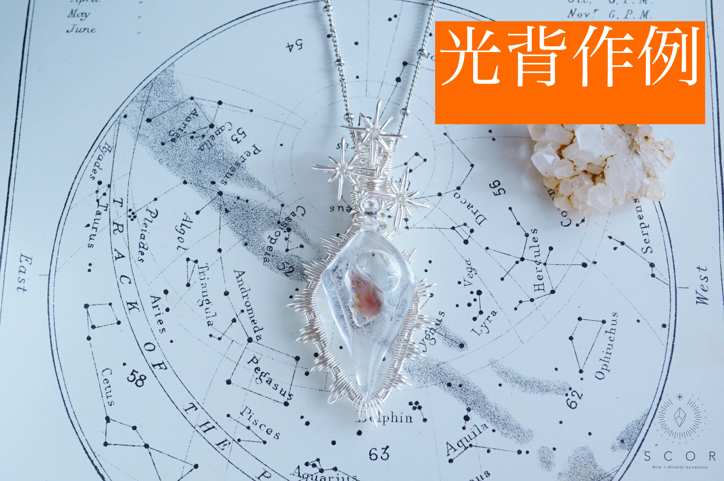 sun様 専用ページ mk様 専用ページ M.Kさま専用ページ（オレゴン