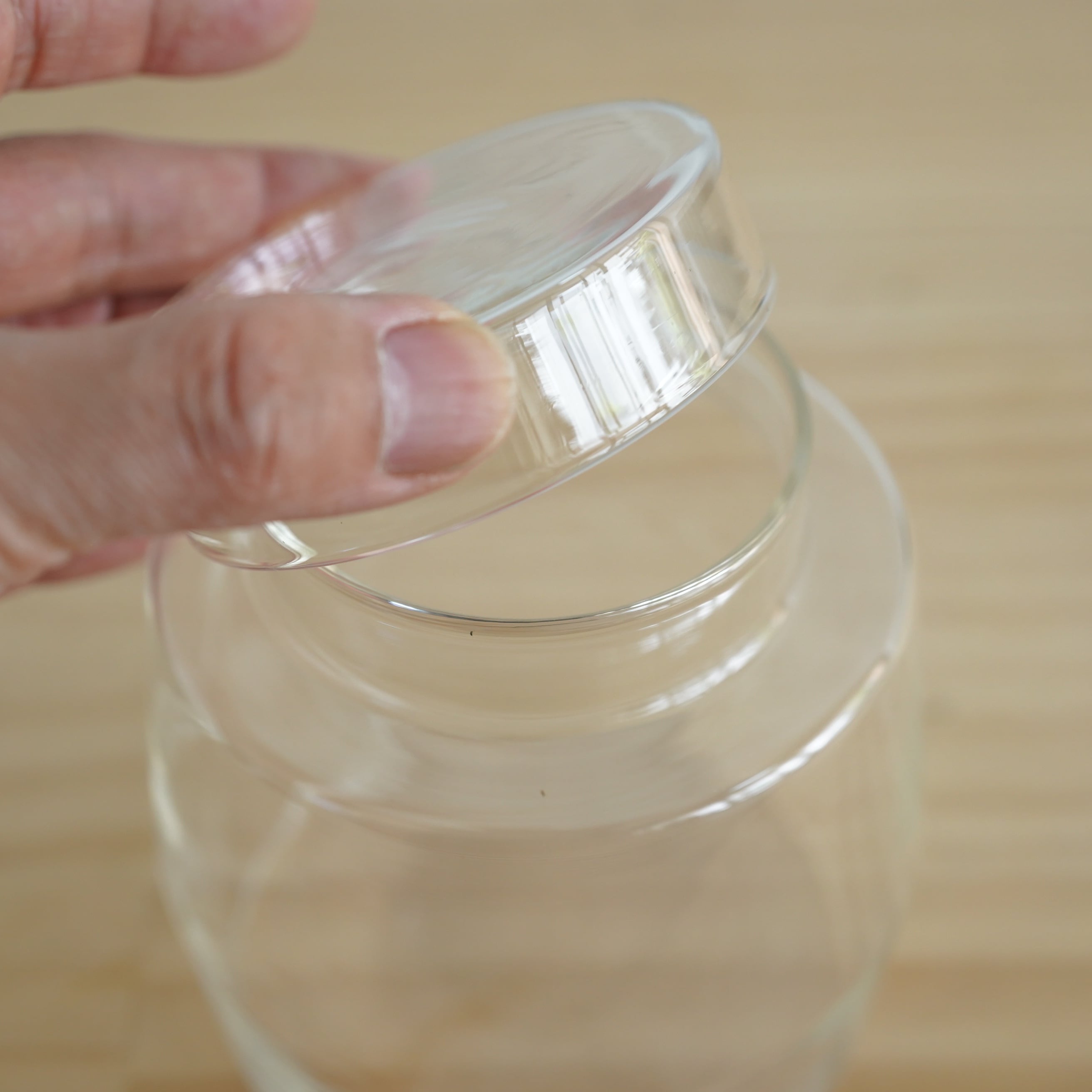 小泉硝子製作所 理化学ガラス容器】DEGREE TypeA | 苔テラリウム専門