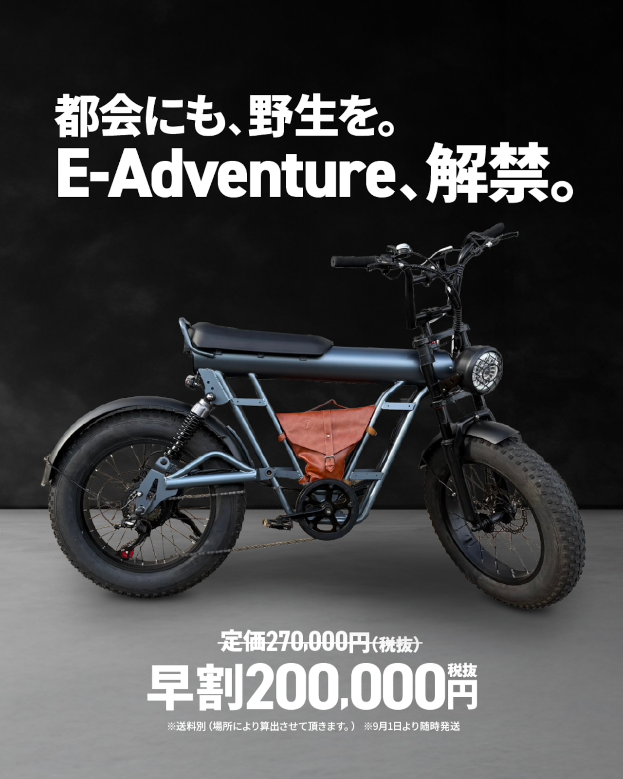 ネクサスα【ブラック】 電動アシスト自転車 | PONCYCLE【120KGポン社長