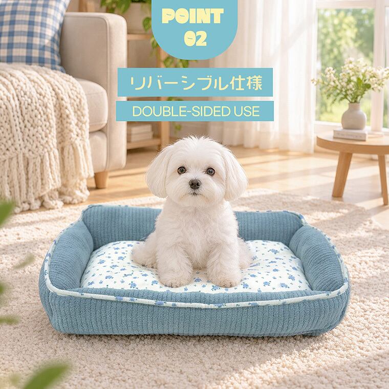 【予約販売10%OFF】jelly bear reversible bed Msize 2color / 犬用 ベッド リバーシブル 両面 ふんわり 冬 可愛い クッション ペットマット 猫用 韓国 ペット用品 小型犬 中型犬 ハウス 高級 犬 ペットベッド