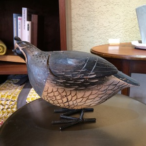 イギリス Bird box