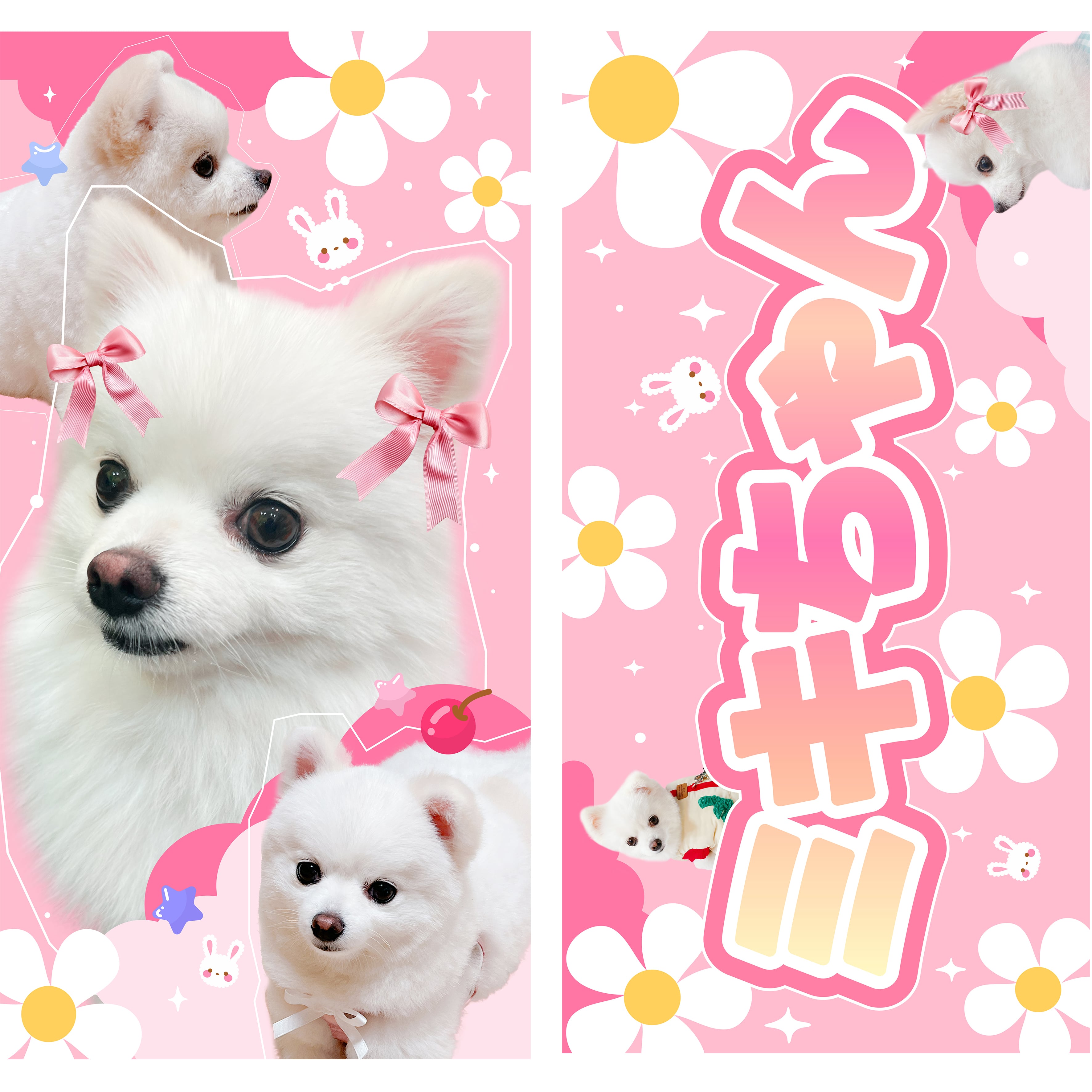 反射スローガン Reflect Slogan | TINYPRO