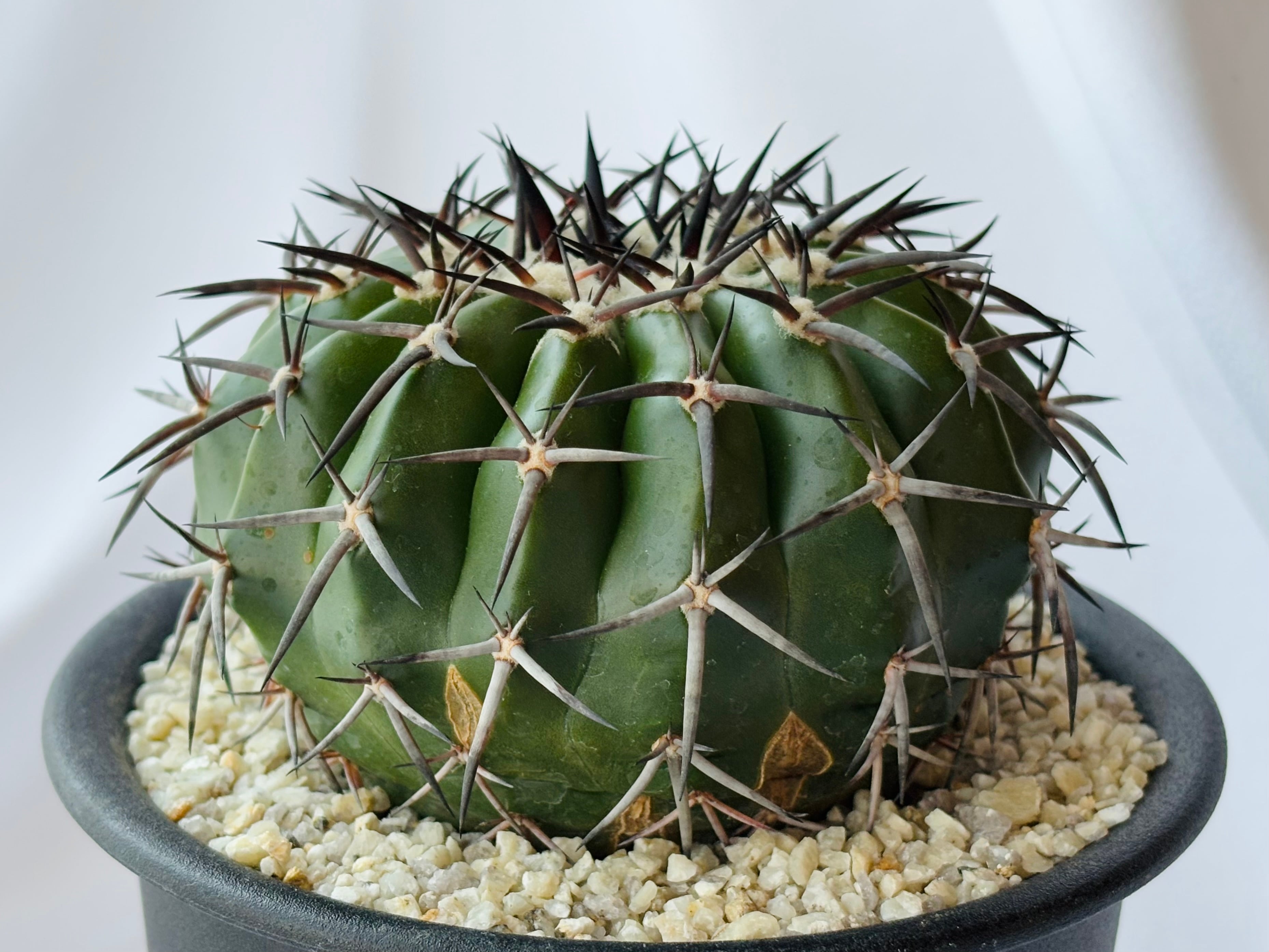 5e4a6f4b551f612bf9db04ccbafb65