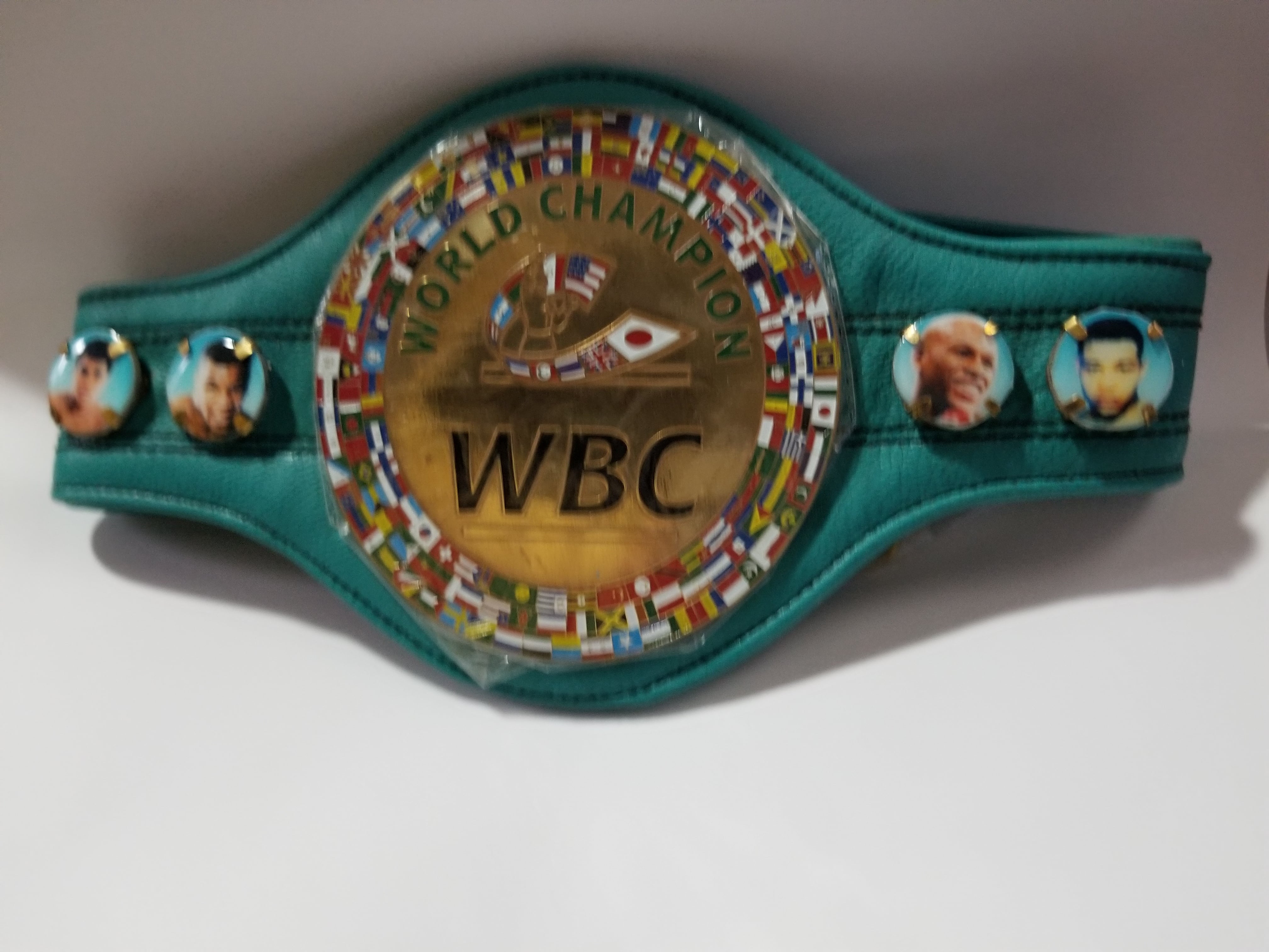 新着 】WBC(世界ボクシング評議会)ミニチャンピオンベルト(レプリカ