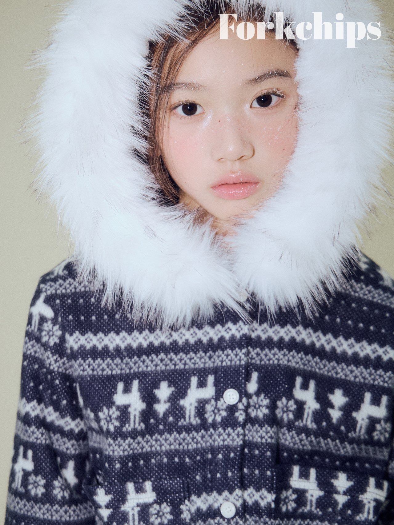 FORK CHIPS［取寄］nordic cardigan 26winter