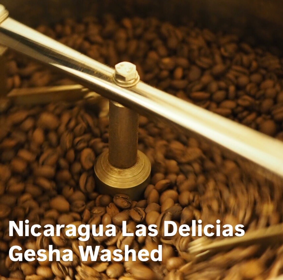 ニカラグアゲイシャ