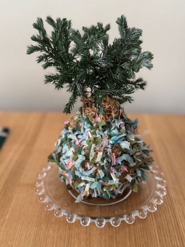 ポップな苔玉(ボールバード)