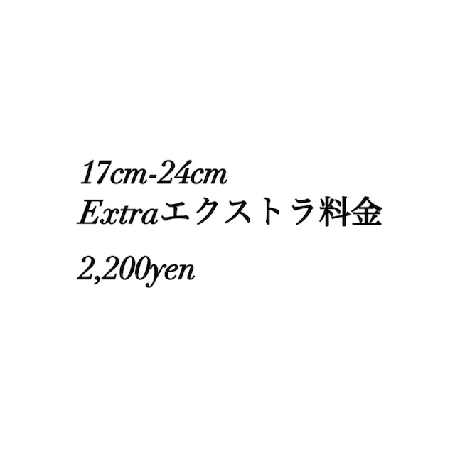 17cm-24cm Extra2,200yen