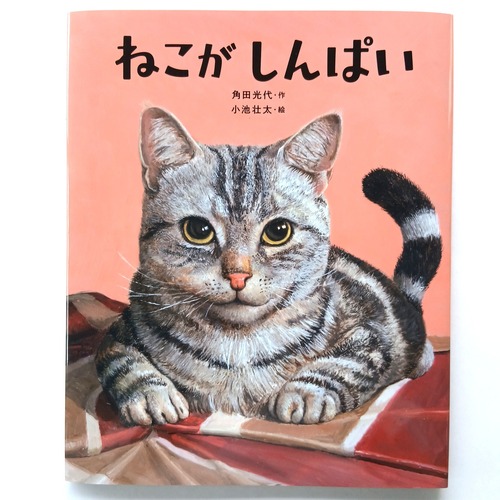 ねこがしんぱい