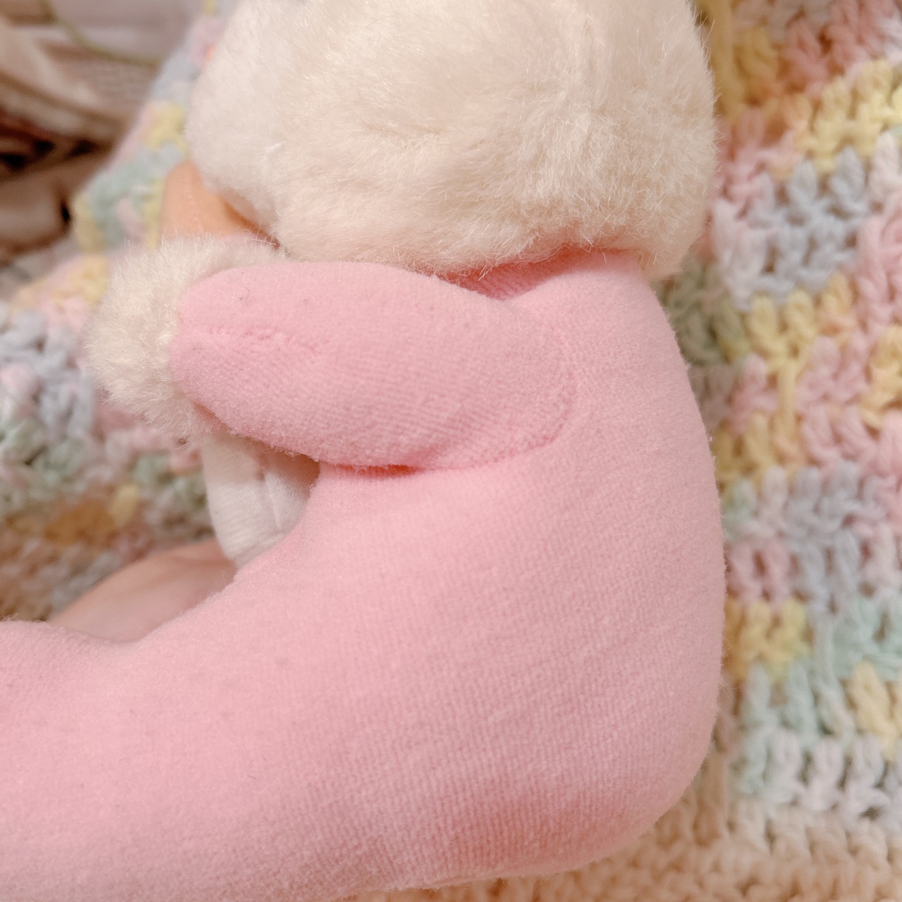 baby  bunnyの画像03