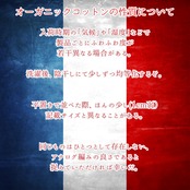 はるなつのはらまき ベルサイユのばら《選べる2タイプ》