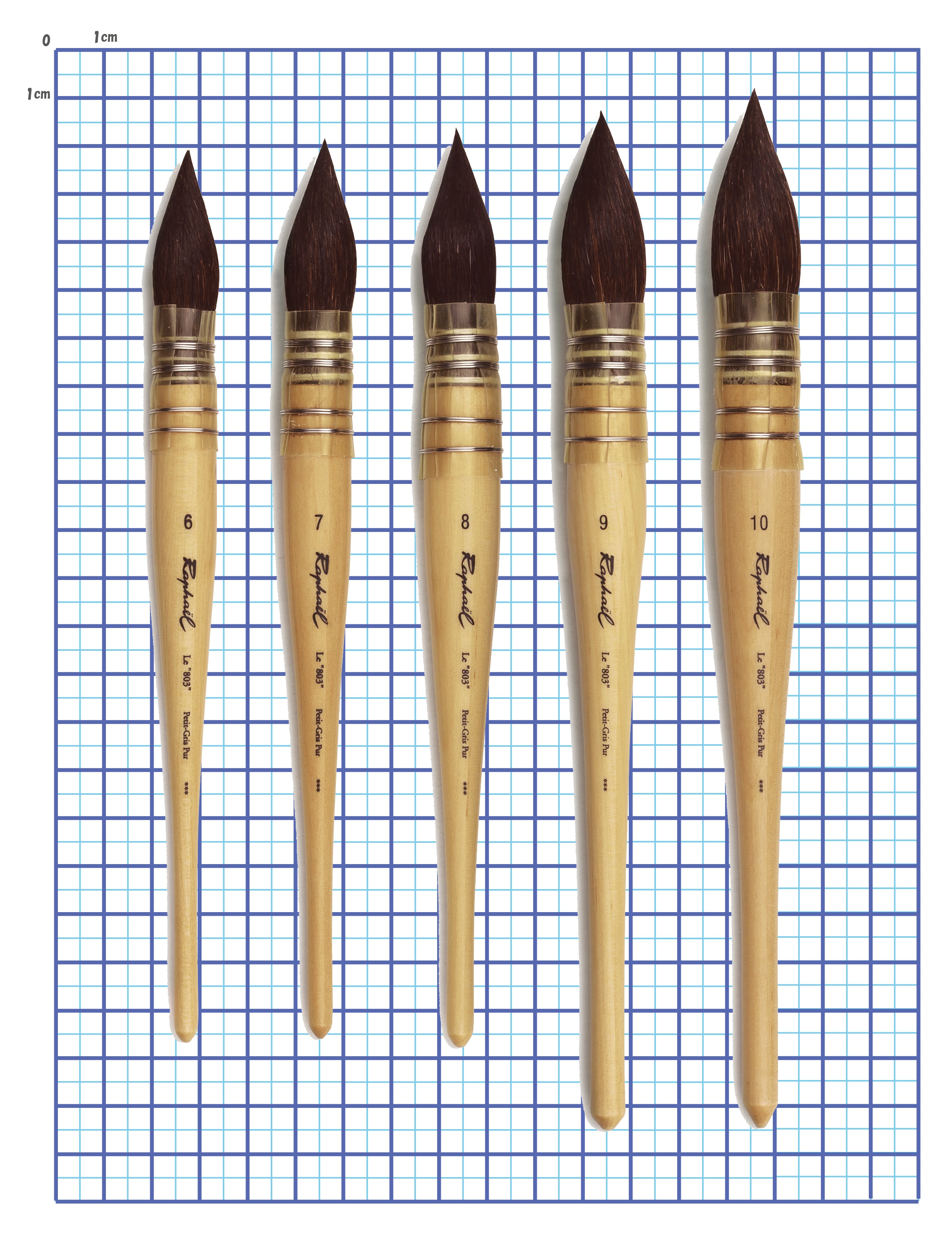 ラファエル 803  リス 丸羽管 6号