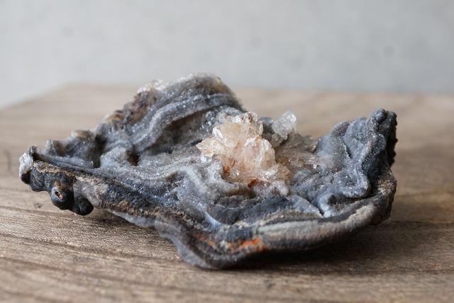 コンシャ・アゲート Concha Agate 706